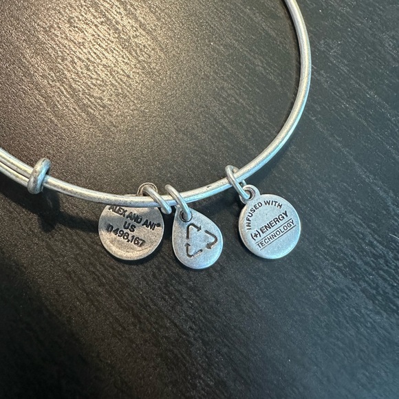 Alex and Ani Guardian of Healing Charm Bracelet - Picture 3 of 4
